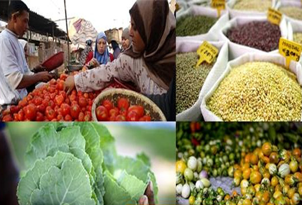 FAO says Good harvests and ample stockpiles continue to drive international food prices down. Credit: FAO