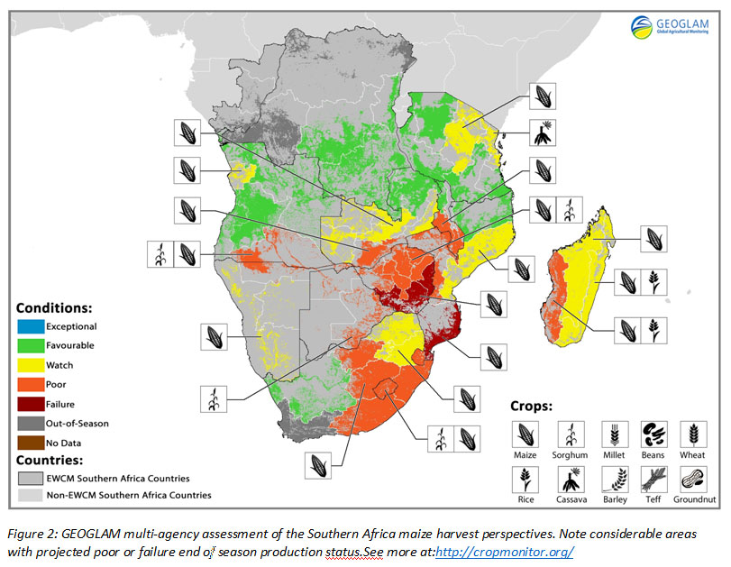 El Niño set to have a devastating impact on southern Africa's harvests