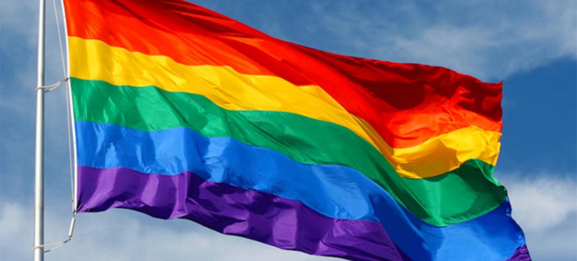 The rainbow flag, commonly known as the LGBT pride flag.