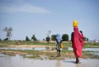 Girls carry water through a field in Diffa, Niger.