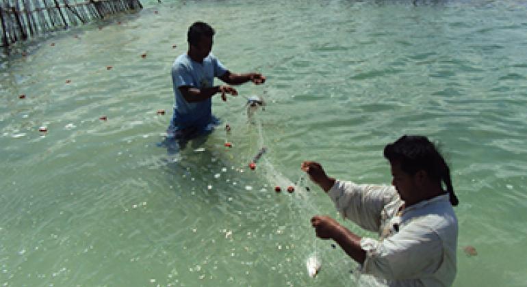Pesca en lagos, ríos y arroyos, esencial para la nutrición y las