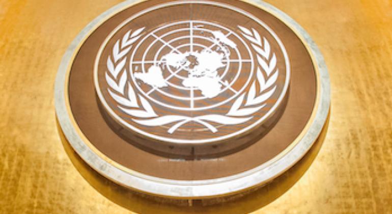 Emblème des Nations Unies à l'Assemblée générale. (
