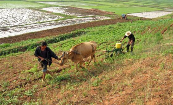 Coreia do Norte pode ter dobrado capacidade de produção de urânio