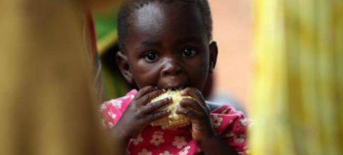 Alimentação das crianças é prioridade. Foto: FAO