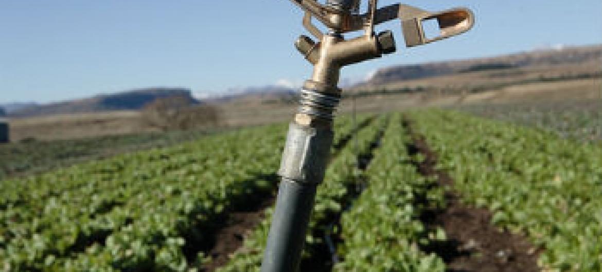 Aumento do uso de fertilizantes. Foto: Banco Mundial/John Hogg