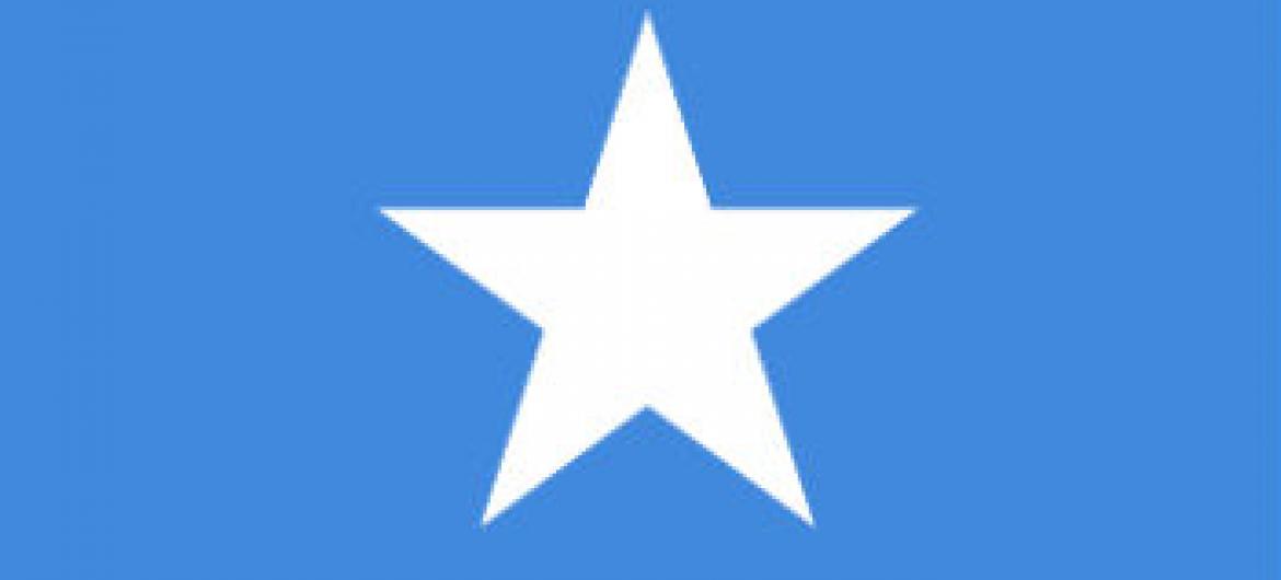 Bandeira da Somália.