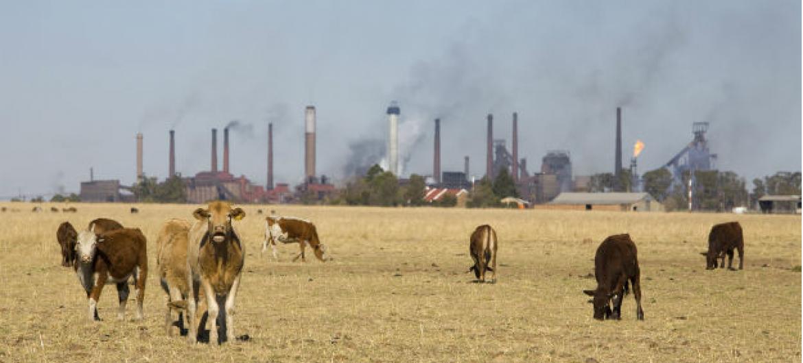 Fenômenos climáticos afetam de forma negativa as plantações, o gado, a pesca e o meio de subsistência de muitas pessoas. Foto: John Hogg/ Banco Mundial