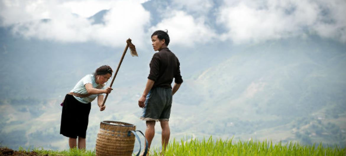 Agricultores em área montanhosa no Vietnã. Foto: ONU/Kibae Park