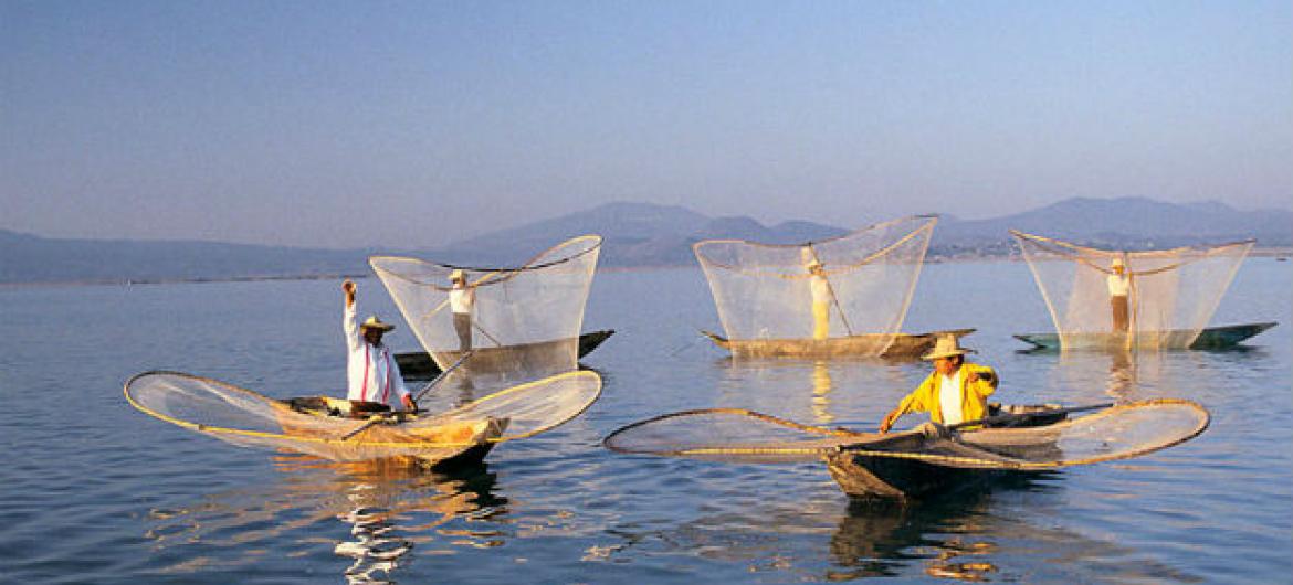 Barcos de pesca no México. Foto: Banco Mundial/Curt Carnemark