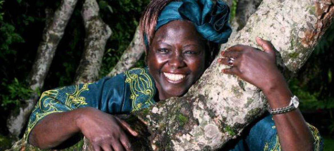 Legado de Wangari Maathai é celebrado neste 3 de março. Foto: ONU Ambiente
