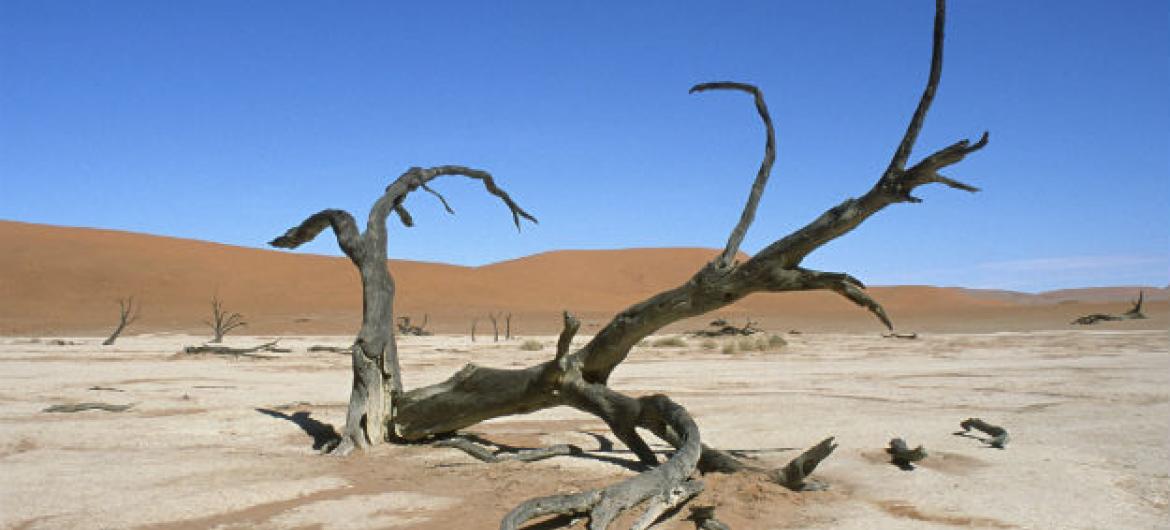 Seca extrema é uma das consequências das mudanças climáticas. Foto: Philip Schuler / World Bank