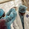 O ébola já matou mais de 2,6 mil pessoas. Foto: Irin/Tommy Trenchard