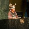 Conferência Mundial sobre os Povos Indígenas. Foto: ONU/Mark Garten