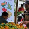 Comércio inter-regional pode ajudar a América Latina e o Caribe a acabar com a fome. Foto: FAO/Giuseppe Bizzarri