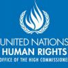 Escritório de Direitos Humanos das Nações Unidas.