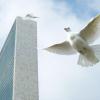 Pombas da paz sobrevoam ao redor da sede da ONU. Foto: ONU/Mark Garten (arquivo)