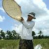 A Aiea refere que US$ 400 mil serão utilizados para ajudar agricultores do Bangladesh, Camboja, Laos e Nepal. Foto: Banco Mundial