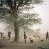  O Banco Mundial cita a seca atual, que levou a prejuízos nas colheitas, morte de rebanhos e aumento da insegurança alimentar. Foto: ONU/Ray Witlin