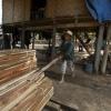 Aumento na produção global de madeira. Foto: FAO