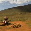 No Lesoto ocorrem chuvas reduzidas. Foto: FAO