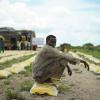 Mais de 37 milhões de pessoas estão sem alimentos em toda a África. Foto: ONU/Tobin Jones