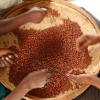 Leguminosas fazem parte da dieta tradicional e geralmente são produzidas por pequenos agricultores. Foto: FAO/Giuseppe Bizzarri