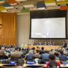 Conselho de Tutela na sede da ONU, em Nova York. Foto: ONU/Rick Bajornas
