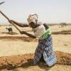 Mulher prepara terra no Níger. Foto: FAO/Giulio Napolitano