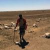 Pastoreio no norte da Somália, região fortemente atingida pela seca. Ele perdeu quase metade de seu rebanho, que contava com 70 animais. Foto: Unicef/Sebastian Rich