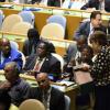 A Assembleia Geral da ONU elege todos os anos cinco países para ocupar uma cadeira não-permamente. Foto: ONU/Manuel Elias