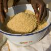 A FAO aumentou a previsão de produção mundial de cereais. Foto: Arne Hoel / Banco Mundial