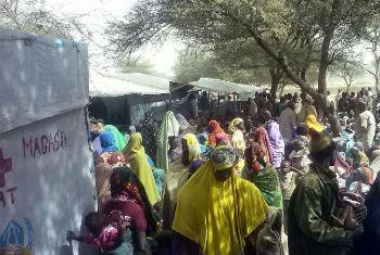 Nigerianos refugiados procuram ajuda no Chade. Foto: Acnur/H.Abdoulaye