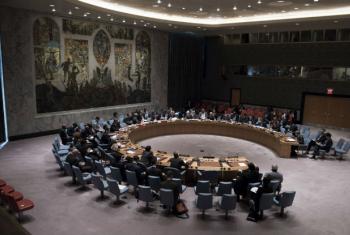 Responsável da ONU diz que tanto israelenses quanto palestinos são culpados pela situação atual. Foto: ONU/Kim Haughton