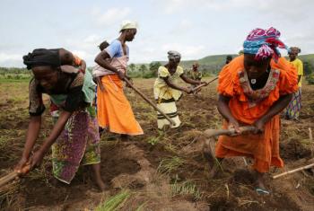 Desenvolvimento sustentável será parte das discussões na Semana de África. Foto: Banco Mundial/Dominic Chavez
