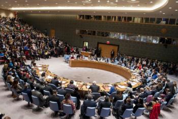 O Brasil defende a ampliação dos assentos permanentes do Conselho de Segurança, com a inclusão de países da África, da América Latina e do Caribe. Foto: ONU/Cia Pak