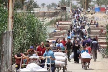 Civis fogem de Ramadi, a capital da província iraquiana de Anbar. Foto: Unicef/Wathiq Khuzaie.