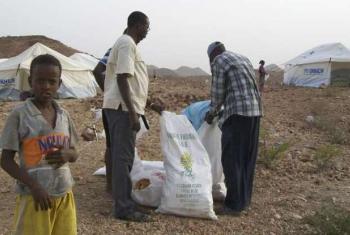 Acnur apoia pequenos esquemas de subsistência para somalis. Foto: Ancur.