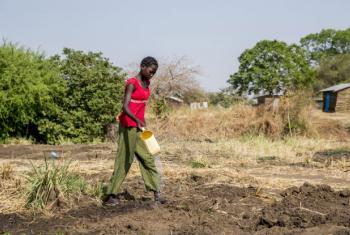 Para presidente do Fida, investimentos para estimular a produção agrícola devem poupar US$ 35 mil milhões anuais ao continente africano. Foto: Unmiss/JC McIlwaine