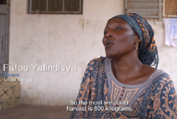 Fatoou Yalindiaye kutoka Senegal. Picha: UM/Video capture